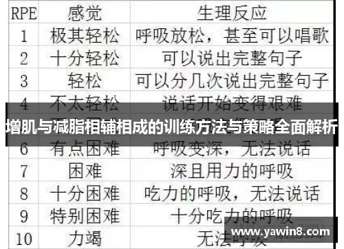 增肌与减脂相辅相成的训练方法与策略全面解析